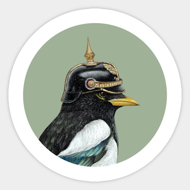 Yellow-billed magpie Sticker by Mikhail Vedernikov